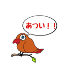 カラスが常に様子を気にしてるょ（個別スタンプ：11）