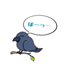 カラスが常に様子を気にしてるょ（個別スタンプ：13）