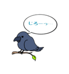カラスが常に様子を気にしてるょ（個別スタンプ：14）