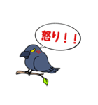 カラスが常に様子を気にしてるょ（個別スタンプ：15）