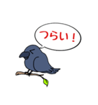 カラスが常に様子を気にしてるょ（個別スタンプ：16）