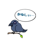 カラスが常に様子を気にしてるょ（個別スタンプ：17）