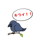 カラスが常に様子を気にしてるょ（個別スタンプ：19）