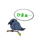 カラスが常に様子を気にしてるょ（個別スタンプ：22）
