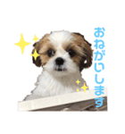 みくものスタンプ①（個別スタンプ：3）