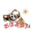 みくものスタンプ①（個別スタンプ：5）