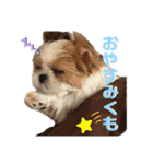 みくものスタンプ①（個別スタンプ：8）