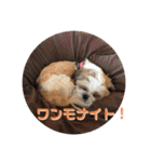 みくものスタンプ①（個別スタンプ：12）