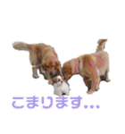 みくものスタンプ①（個別スタンプ：13）
