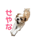 みくものスタンプ①（個別スタンプ：14）