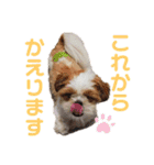 みくものスタンプ①（個別スタンプ：18）