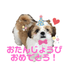 みくものスタンプ①（個別スタンプ：26）