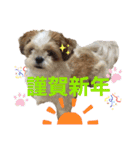 みくものスタンプ①（個別スタンプ：27）