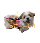 みくものスタンプ①（個別スタンプ：32）