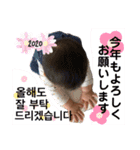 ☆YUtamp③☆（個別スタンプ：15）