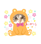 pretty good cat message（個別スタンプ：24）