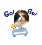 大好きニャンコ（個別スタンプ：6）