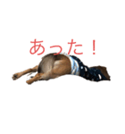かおる様スタンプ（個別スタンプ：2）
