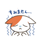 基本的に丁寧な猫さん（個別スタンプ：2）