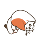 基本的に丁寧な猫さん（個別スタンプ：5）