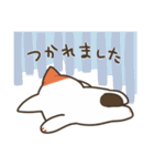 基本的に丁寧な猫さん（個別スタンプ：13）