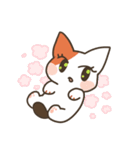 基本的に丁寧な猫さん（個別スタンプ：22）