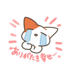 基本的に丁寧な猫さん（個別スタンプ：26）