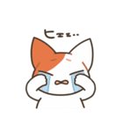 基本的に丁寧な猫さん（個別スタンプ：29）