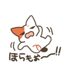 基本的に丁寧な猫さん（個別スタンプ：34）
