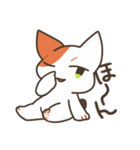 基本的に丁寧な猫さん（個別スタンプ：37）