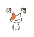 基本的に丁寧な猫さん（個別スタンプ：40）