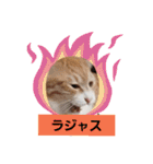 アーユルキャット3（個別スタンプ：26）
