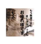 ツンデレねこのレントンくん（個別スタンプ：6）