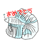 熱帯魚たまーに海水魚の日常スタンプ！（個別スタンプ：9）