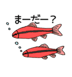 熱帯魚たまーに海水魚の日常スタンプ！（個別スタンプ：18）