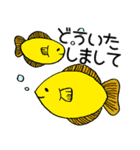 熱帯魚たまーに海水魚の日常スタンプ！（個別スタンプ：28）