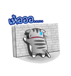 JIPPY ねこ（個別スタンプ：13）