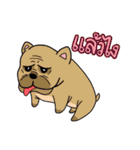 JIPPY ねこ（個別スタンプ：30）