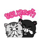 JIPPY ねこ（個別スタンプ：35）