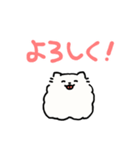 バーチャルポメラニアン（個別スタンプ：11）