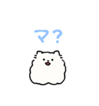 バーチャルポメラニアン（個別スタンプ：12）