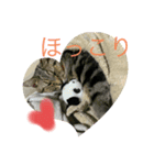 shancoron（個別スタンプ：4）