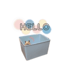 きんくまの小夏（個別スタンプ：1）