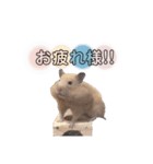 きんくまの小夏（個別スタンプ：2）