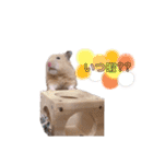 きんくまの小夏（個別スタンプ：6）