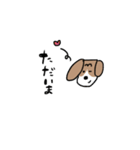 まゆいぬ（個別スタンプ：5）