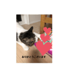 ちび猫ちゃん2♡♡♡（個別スタンプ：9）