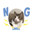 ちび猫ちゃん2♡♡♡（個別スタンプ：11）