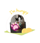 ちび猫ちゃん2♡♡♡（個別スタンプ：14）
