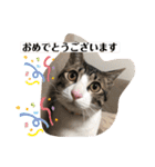 ちび猫ちゃん2♡♡♡（個別スタンプ：16）